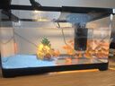 闊庭（KUOTING）魚缸水族箱生態(tài)桌面魚缸新款懶人魚缸生態(tài)造景過濾制氧一體機黑色 曬單實拍圖