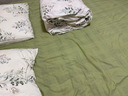 潔麗雅（Grace）100%純棉四件套新疆棉床上用品床單被套200*230cm1.5/1.8米床 曬單實拍圖