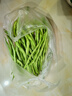 新鮮現摘四季豆角農家蔬菜九月青油豆角整箱蔬菜生鮮源頭直發(fā) 云南四季豆新鮮現摘【凈重1斤】 曬單實(shí)拍圖