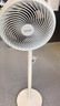 華凌美的【小暴風(fēng)】白天鵝空氣循環(huán)扇 家用電風(fēng)扇大風(fēng)量搖頭輕音臥室臺式落地扇節(jié)能空調(diào)扇WH-FGA2001 曬單實(shí)拍圖