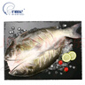 釣魚(yú)記斑點(diǎn)叉尾鮰魚(yú)1斤-1.3斤 二去凈重冷凍烤魚(yú)燒烤生鮮 魚(yú)類(lèi) 中秋聚餐 曬單實(shí)拍圖