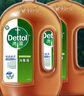 滴露消毒液滅活流感冠狀病毒消毒水除菌1.8L*2洗衣家居除螨殺菌 曬單實(shí)拍圖