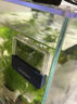 徹朗魚(yú)缸溫度計高精度魚(yú)缸溫度顯示器外貼溫度計 峰值版【贈送電池一塊】 曬單實(shí)拍圖
