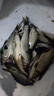 趣玲瓏釣魚用鉛皮卷快速鉛墜鉛卷鉛皮座臺(tái)釣魚線組垂釣魚用品漁具 0.8#鉛皮卷[5卷]送剪刀 曬單實(shí)拍圖