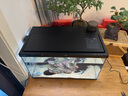 當貝智能生態(tài)魚缸1Ultra 一體缸自循環(huán)桌面魚缸 財運石造景套餐 曬單實拍圖