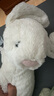 Jellycat害羞乳白色邦尼兔動(dòng)物毛絨玩偶安撫玩偶娃娃生日七夕情人節禮物 乳白色 Large 曬單實(shí)拍圖