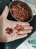 赤小豆赤豆新貨長(cháng)粒農家自產(chǎn)小豆可煲粥薏米芡實(shí)五谷雜糧養生粥 赤小豆500克 曬單實(shí)拍圖