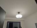 蒂凡尼亞復(fù)古柿子客廳吊燈護眼中古風(fēng)新中式餐廳燈臥室吊燈客廳大燈主燈具 套餐3_三室兩廳_全套智能語音 曬單實拍圖