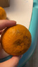 蒲戀?gòu)V西沃柑水果新鮮當(dāng)季整箱一級(jí)沙糖蜜橘柑橘砂糖橘子桔子武鳴 優(yōu)選【果徑70-75mm】高復(fù)購(gòu) 【狠劃算】?jī)糁?斤暢享裝 曬單實(shí)拍圖