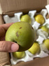 京覓 碭山青皮蜜梨 單果250g起 凈重4.5斤起 生鮮水果 源頭直發(fā) 曬單實(shí)拍圖