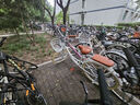 飛鴿（FLYING PIGEON）自行車(chē)成人通勤車(chē)自行車(chē)學(xué)生單車(chē)成人自行車(chē)通勤自行車(chē)女士自行車(chē) 標配珍珠白|單速|(zhì)輻條輪+禮包 26寸適合160-185cm 曬單實(shí)拍圖