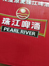 珠江啤酒（PEARL RIVER）12度 珠江原麥啤酒 330ml*24聽(tīng) 整箱裝 中秋節送禮 曬單實(shí)拍圖