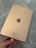 Apple/蘋(píng)果 二手平板電腦  2022/2021/2020/19/18/17款 iPad游戲 95新2019款7代iPad 32G  WiFi 贈品 觸摸筆 保護殼 充電器 鋼化膜 曬單實(shí)拍圖