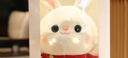 熊貓熊兔子玩偶毛絨玩具小女孩生日禮物女生兒童大布娃娃陪睡覺(jué)抱枕公仔 曬單實(shí)拍圖