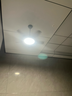 鉆石牌風(fēng)扇燈餐廳吊扇燈LED全光譜超薄客廳燈扇遙控定時(shí)帶燈風(fēng)扇吊桿36寸黑胡桃木一級能效DC5333 曬單實(shí)拍圖