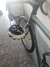 喜德盛（xds）公路車(chē)25-AD300油碟UCI車(chē)架2x10速中空一體牙盤(pán)桶軸車(chē)銀蛇480MM 曬單實(shí)拍圖