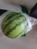 【產地直采】麒麟奶油西瓜 約5.5kg 曬單實拍圖