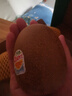 佳沛（zespri）新西蘭  陽光金奇異果10粒禮盒巨大果單果約144-175g 水果 獼猴桃 曬單實(shí)拍圖