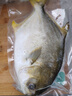 環(huán)球水產(chǎn) 南海金鯧魚(yú)凈重2斤/2條 生鮮魚(yú)類(lèi) 深海魚(yú) 海鮮 中秋家庭聚餐 曬單實(shí)拍圖