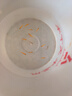 熱帶觀(guān)賞魚(yú)七彩斑馬魚(yú)紅綠燈科魚(yú)小型冷水淡水群游好養活的練手魚(yú) 2-3cm糖果斑馬12條隨機搭配 曬單實(shí)拍圖