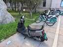 熊貓愛(ài)國車(chē)貼防水貼紙汽車(chē)摩托車(chē)遮擋劃痕國慶車(chē)尾貼畫(huà)車(chē)身裝飾貼 霸氣熊貓B款【小號10厘米】 曬單實(shí)拍圖