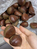 探味先生丹東板栗 新鮮栗子 生板栗 產(chǎn)地直發(fā) 新鮮蔬菜 時(shí)令生鮮 凈重 4.5斤 中果 曬單實(shí)拍圖