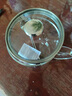 漢泊科德國同款刻度杯子水杯耐高溫計量玻璃牛奶咖啡杯帶蓋茶杯刻度水杯 刻度杯（350ml）光杯特賣(mài) 曬單實(shí)拍圖