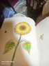 秘密花園：一本探索奇境的手繪涂色書(shū)   曬單實(shí)拍圖