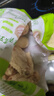 圣農(nóng)雞翅中凈重2斤/袋 可樂雞翅 大翅中 烤雞翅 清真食品  燒烤食材 曬單實拍圖