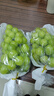 玖原農(nóng)珍 四川陽光玫瑰葡萄新鮮水果晴王大顆葡萄彩箱禮盒裝 含箱5斤凈果4斤優(yōu)選果7-12g 曬單實拍圖