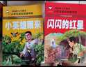 紅色經(jīng)典（10冊）小英雄雨來(lái)+雷鋒的故事+小游擊隊員+王二小+鐵道游擊隊+長(cháng)征+抗日英雄+英雄人物+閃閃的紅星+雷鋒日記 小學(xué)生一二三年級課外閱讀帶拼音的兒童愛(ài)國主義英雄人物的故事 曬單實(shí)拍圖
