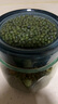 十月稻田 綠豆 2斤 (可發(fā)豆芽 打豆漿 東北 五谷 雜糧 粗糧 真空大米伴侶) 曬單實(shí)拍圖