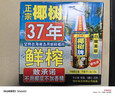 椰樹(shù) 椰汁 1.25L*6瓶/箱 整箱裝 植物蛋白飲料 正宗海南特產(chǎn) 曬單實(shí)拍圖