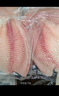 翔泰 海南鯛魚/羅非魚排2斤5-7片 去皮去刺 輕食魚片 燒烤火鍋魚類 曬單實(shí)拍圖