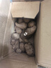 牛奶芋頭小芋頭軟糯香甜毛芋頭蔬菜香芋芋艿現挖新鮮蔬菜 牛奶小芋頭 凈重 3斤裝 曬單實(shí)拍圖