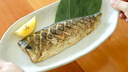 美加佳挪威青花魚片凈重2斤（8-10片）鯖魚片 獨(dú)立包裝 去頭去尾去臟 曬單實(shí)拍圖