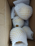 新緣云南石林新鮮現(xiàn)摘人參果孕婦特大果單果120克起-新緣 石林人參果單果120克起帶箱1斤 曬單實(shí)拍圖