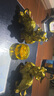繽越銅貔貅擺件銅一對公母銅皮丘客廳酒柜玄關(guān)裝飾品辦公室開(kāi)業(yè)禮品 曬單實(shí)拍圖