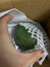 【新鮮上市】正宗攀枝花凱特芒果新鮮水果 帶箱2斤200g+ 曬單實拍圖