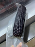 十月稻田 黑糯玉米 3.52斤（220g*8根）東北紫玉米 早餐零食 低脂飽腹 曬單實(shí)拍圖