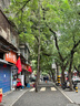 牧高笛（MOBIGARDEN）零動(dòng)155全自動(dòng)帳篷 戶(hù)外露營(yíng)速開(kāi)帳篷天幕二合一 NX23561016 米白 曬單實(shí)拍圖