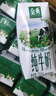 金典（SATINE）純牛奶 3.6g原生乳蛋白 原生高鈣 伊利牛奶整箱送禮 9月產(chǎn) 金典純牛奶200ml*12盒*1箱 曬單實(shí)拍圖