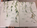 叢林歷險記全譯本（專(zhuān)為青少年打造！譯者榮獲瑞典文學(xué)院翻譯獎！王芳老師推薦版本！未刪節精裝插圖版！作家榜出品?。?小說(shuō) 曬單實(shí)拍圖
