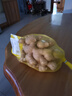 【綠色認證】云南小黃姜約300g 曬單實拍圖