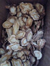 墨源 前胡中藥材500克前胡片生前胡白花前胡新鮮大片干貨免費打前胡粉 前胡500克【新貨】 曬單實(shí)拍圖