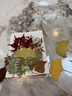 皓梵潔樹(shù)葉標本干花干樹(shù)葉葉子樹(shù)葉手工diy材料包葉子標本植物壓花裝飾 diy樹(shù)葉畫(huà)【隨機13款35片】 曬單實(shí)拍圖