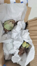 多肉植物組合3-5厘米卷好盆栽耐干旱好養(yǎng)新手基地玉露綠植盆栽 【28棵多肉有名字】14個品種 曬單實拍圖