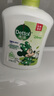 滴露（Dettol）洗手液茉莉綠茶清香500g*2 兒童洗手液補充裝家庭抑菌消毒 迪士尼 曬單實(shí)拍圖