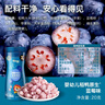 禾泱泱嬰幼兒稻芽原生星星泡芙 寶寶兒童零食低敏6個(gè)月以上輔食泡芙條 【2罐】星星泡芙草莓味20g+藍(lán)莓味20g 曬單實(shí)拍圖