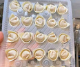 灣仔碼頭上海風(fēng)味薺菜豬肉大餛飩600g30只云吞早餐夜宵生鮮速食冷凍混沌 曬單實(shí)拍圖